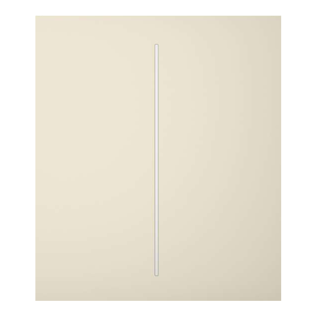 image_1024 Ajax LightSwitch CenterButton 2-gang. Plusador Central Doble. Color Marfil - Imagen 1